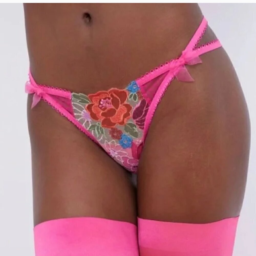 For Love And Lemons Luella Panty Sheer Lace Thong NWT XXs